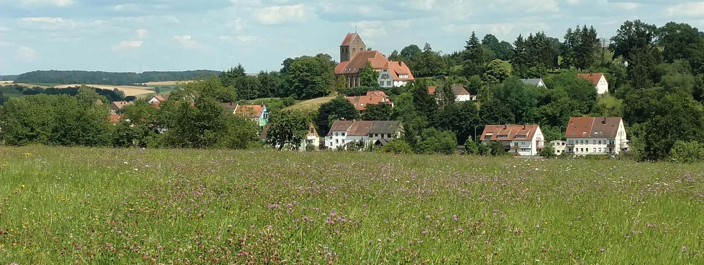 village of Hornbach, Germany beyond a farm field